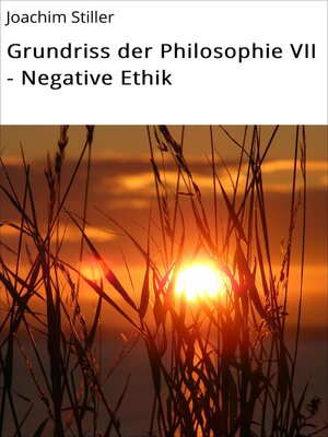 cover image of Grundriss der Philosophie VII--Negative Ethik